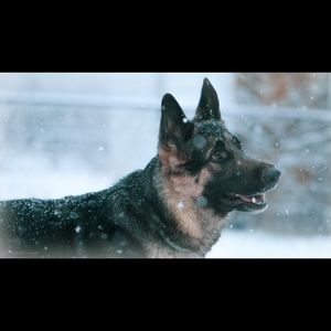 Meet your Posher, Zanyel